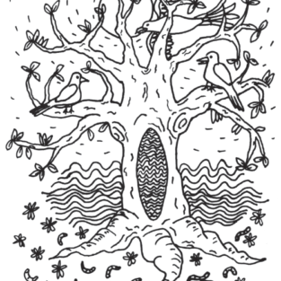 Colouring Sheet by Deanne Gilson – Bundjil, Waa, and The Scar Tree