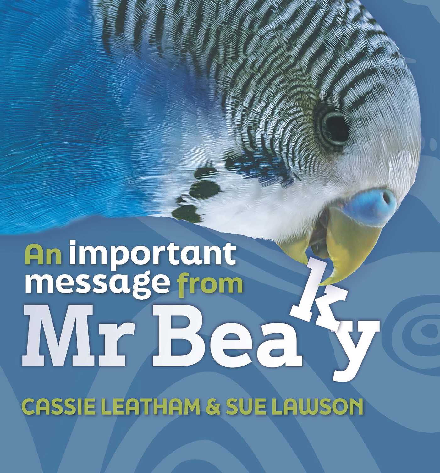Mr Beaky Book Launch